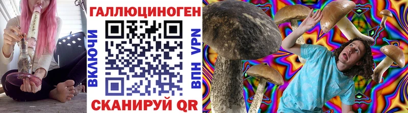 Псилоцибиновые грибы Psilocybe  Лобня 